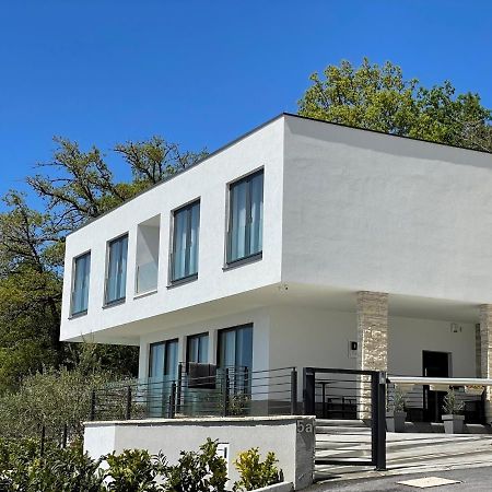 Villa Dispet With Heated Pool, Jacuzzi, Sauna And Cinema Čelina Eksteriør bilde