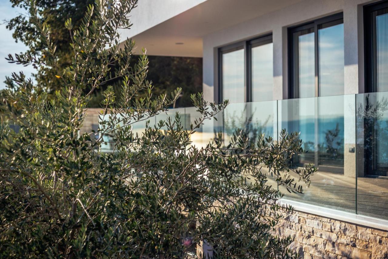 Villa Dispet With Heated Pool, Jacuzzi, Sauna And Cinema Čelina Eksteriør bilde